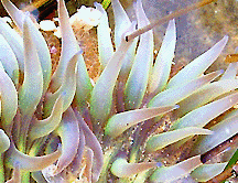 slideshow